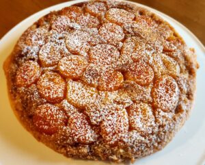 Close-up of a freshly baked apricot almond tart dusted with powdered sugar, served on a white plate.