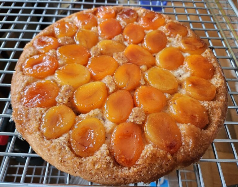 Apricot Hazelnut Torte - The Friday Baking Project