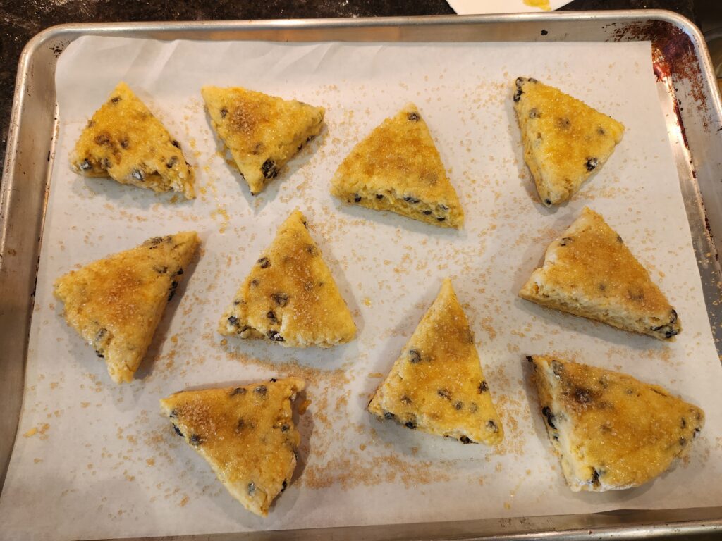 A tray of scones with raisins on top.