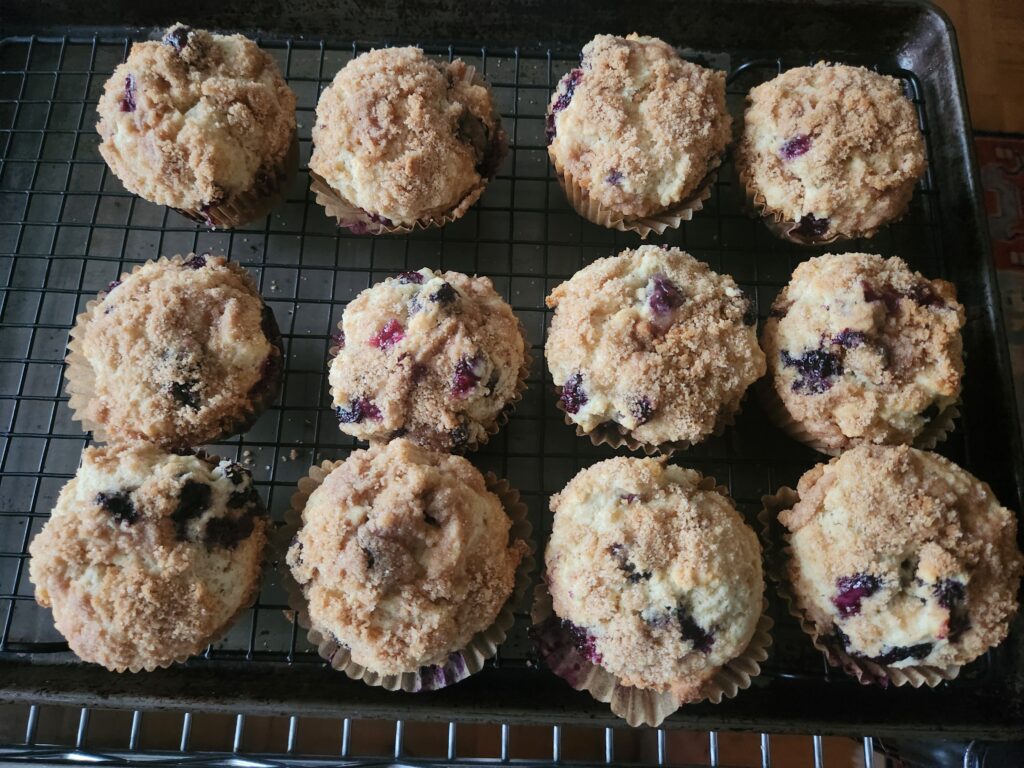 Twelve freshly baked blueberry muffins cooling on a wire rack.